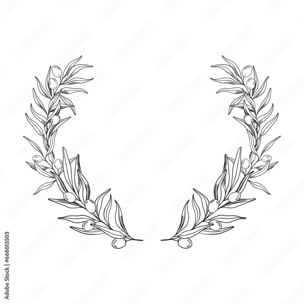 Sketch Wreath of olive branch with berries and leaves. Hand drawn ...