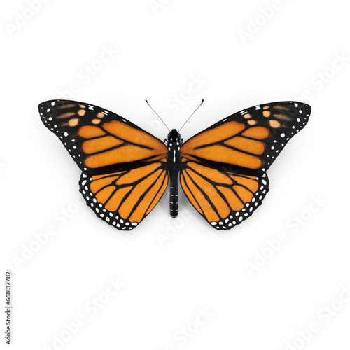 Monarch Butterfly PNG © PNG 