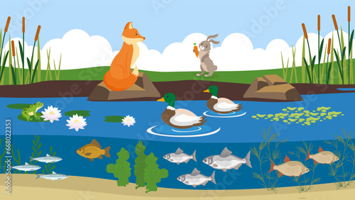 Vector illustration of a pond with ducks, fish and a squirrel.