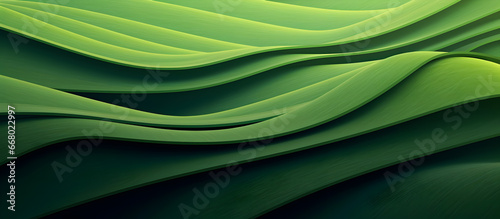 green texture, Abstract organic green lines waves as wallpaper background