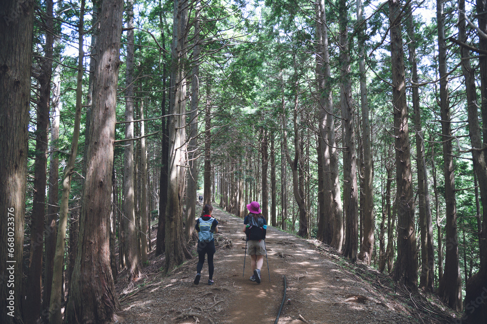 塔ノ岳登山, 表丹沢, 秦野, 神奈川