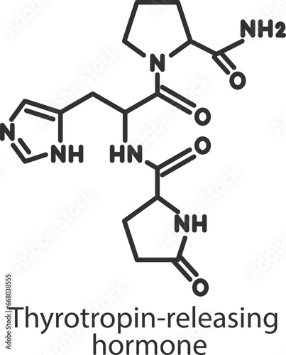 Thyrotropin-releasing hormone. Line with editable stroke photo