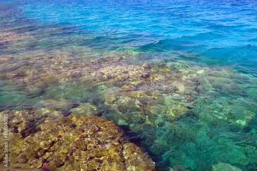 coral sea from egypt