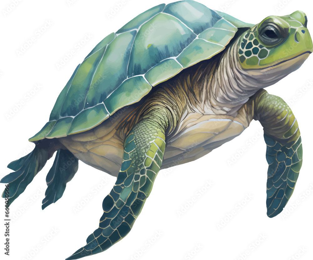 Fototapeta premium ocean turtle