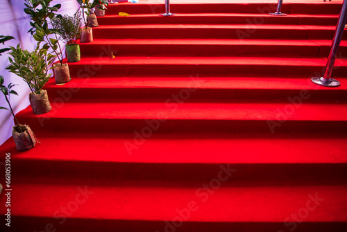 Red carpet on the steps