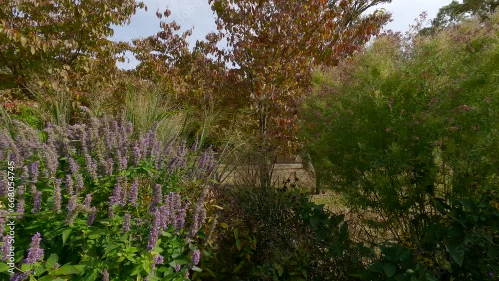 Autumn scenery of the park with a mixture of various colors. Autumn scenery of the park with a mixture of various colors.