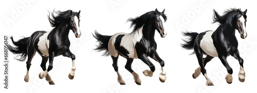 Black and white horse running vector set isolated on white background