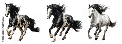 Black and white horse running vector set isolated on white background