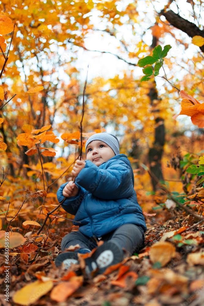 Beautiful baby in blue jacket walking in autumn forest among yellow and red leaves. Beautiful baby in blue jacket walking in autumn forest among yellow and red leaves.