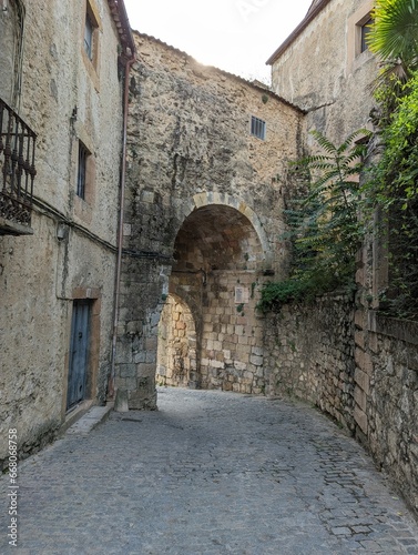 Fototapeta Naklejka Na Ścianę i Meble -  Scenic view of old buildings in Sepulveda, Spain