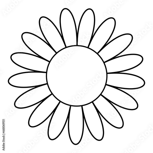 Chamomile sun flower, chamo...