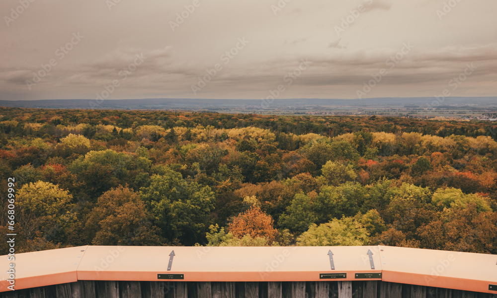 Fototapeta premium Autumn colors from above