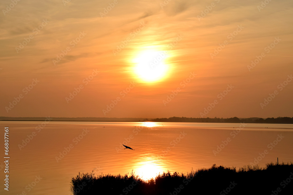 Black silhouette of a lonely crane flying into a beautiful orange sunset over the calm Baltic Sea in the north of Germany.