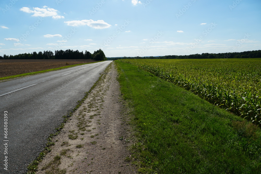 An empty roadway outside the city passes by agricultural fields. A highway with a new asphalt surface on the background of fluffy clouds. Paved road on a sunny day without cars.
