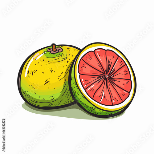 Grapefruit hand-drawn illustration. Grapefruit. Vector doodle style cartoon illustration. ai generated