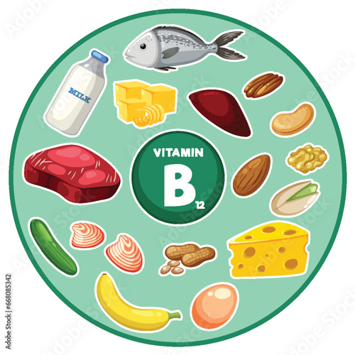 Group of Food and Vegetables Containing Vitamin B12