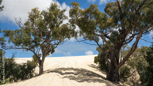 Looking up the four wheel drive track into the Yeagarup Dunes in D'Entrecasteaux National Park, Western Australia