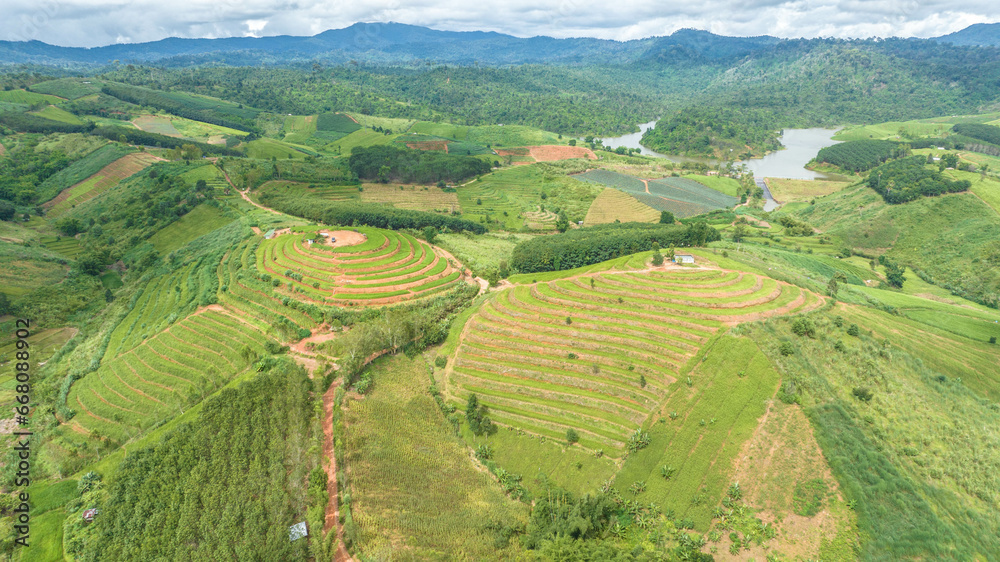 Rice terraces on the mountain, Ban Nam Chuang, Thailand