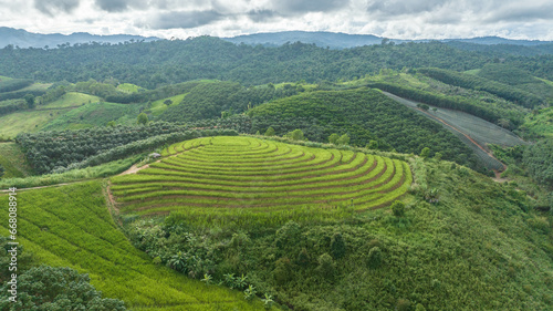 Rice terraces on the mountain  Ban Nam Chuang  Thailand