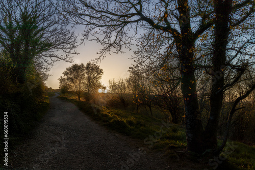 walk in the sunset