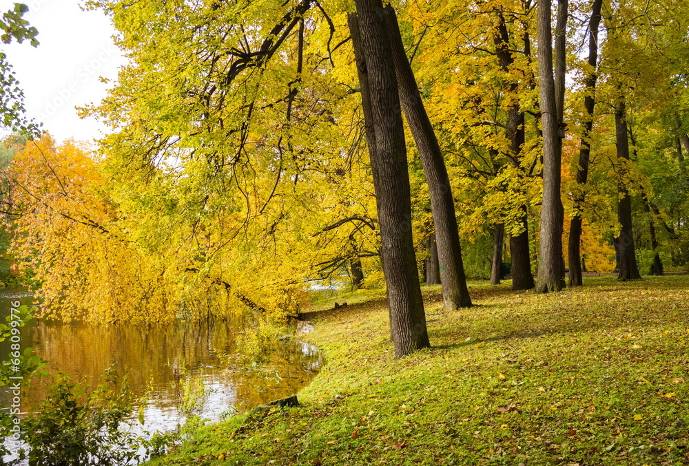Parks of St. Petersburg. The first days of autumn. Parks of St. Petersburg. The first days of autumn.
