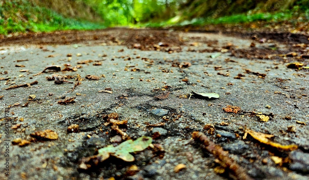 Herbst Herbst
