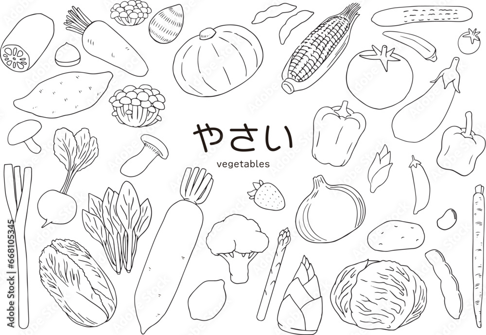 野菜たくさん 手書き線画のイラストセット 野菜たくさん 手書き線画のイラストセット
