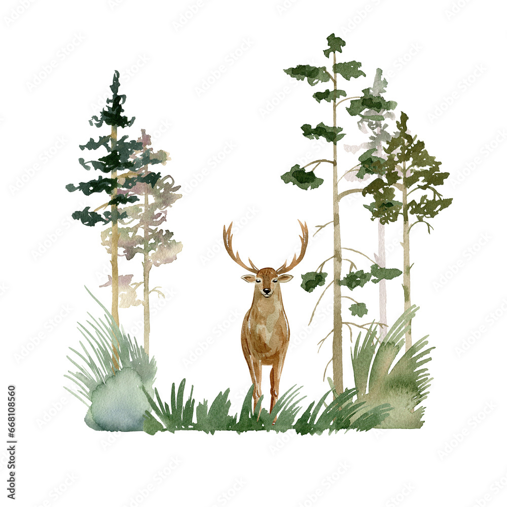 Fototapeta Watercolor forest with deer. Woodland composition.
