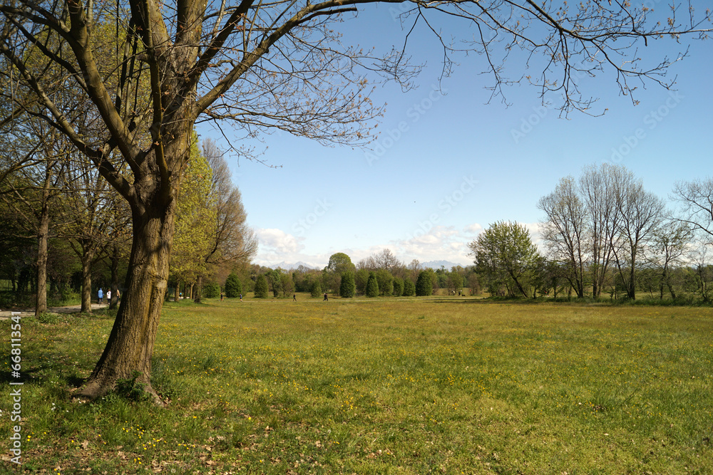 Paesaggio Parco di Monza zona ex ippodromo con alberi e distesa di prati verdi con sfondo di montagne e cielo azzurro Paesaggio Parco di Monza zona ex ippodromo con alberi e distesa di prati verdi con sfondo di montagne e cielo azzurro