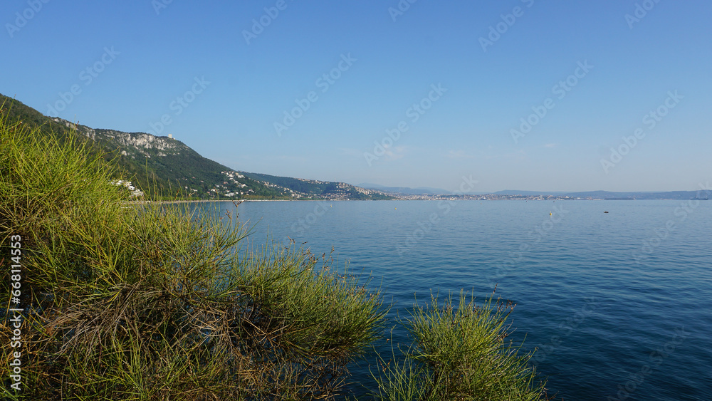 Rocky coast of the Gulf of Trieste