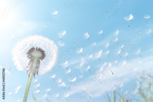 Flower sky seeds softness summer blowball dandelion spring nature flying plant