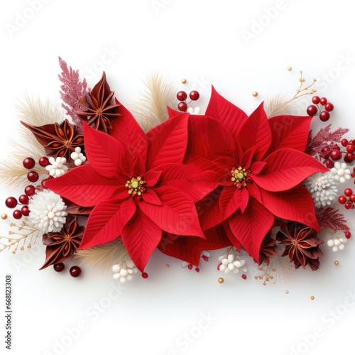 Christmas and New Year holiday banner with a White background and a Poinsettia. Concept with space for text for ads, banners and greeting card