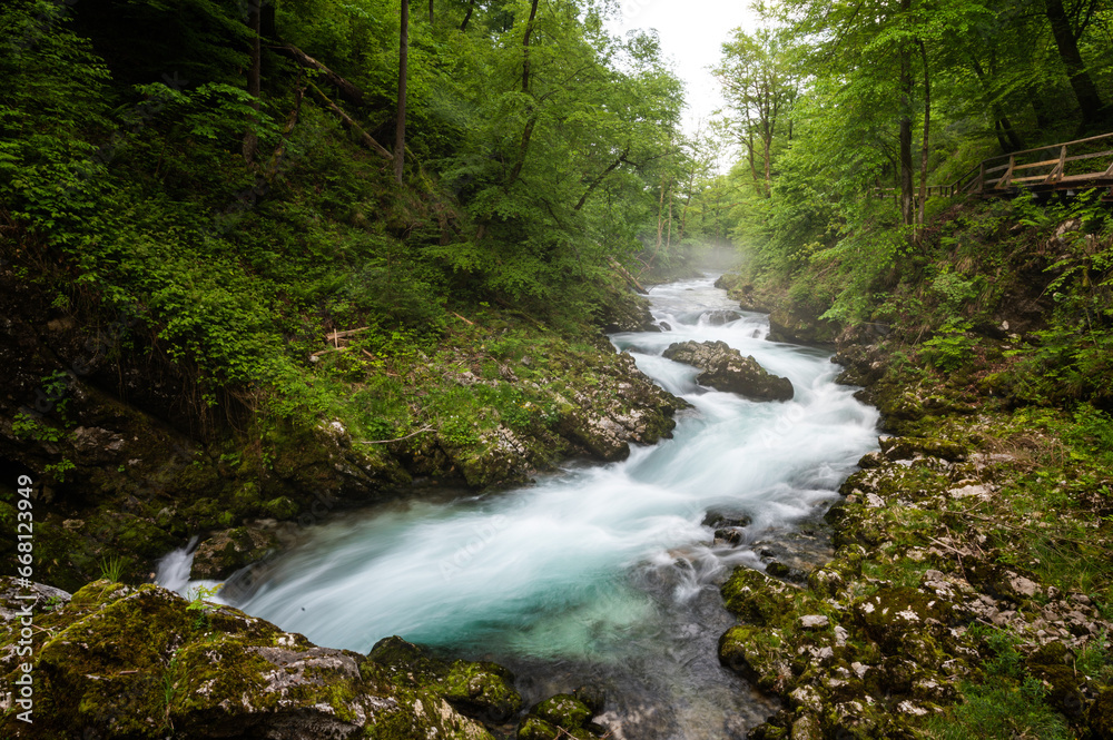 Obraz premium waterfall in the woods