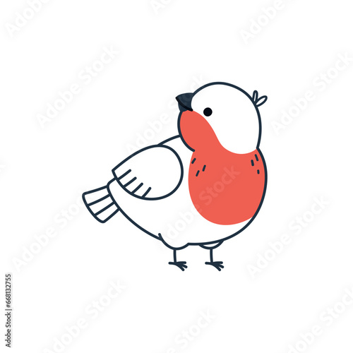 Vector illustration of a cute winter bird bullfinch, isolated on a white background