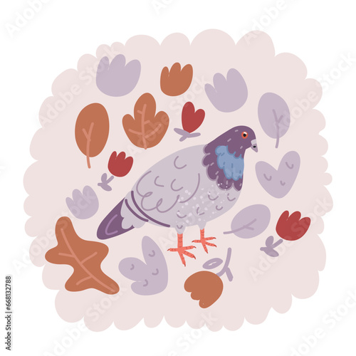 Vector illustration of fu racing pigeon bird