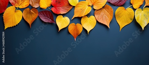 2 heart shaped leaves on vibrant fall foliage