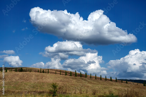 Rural landscape in Tuscany near San Quirico d Orcia