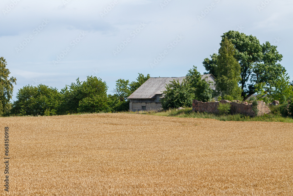 Landscape in the countryside.