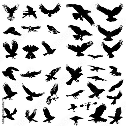 bird, silhouette, vector, animal, flying, illustration, nature, birds, fly, icon, wings, black, set, wild, pigeon, wing, dove, wildlife, silhouettes, seagull, flight, feather, design, eagle