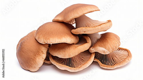 Brown beech mushrooms Shinmei mushroom Edible mushroom