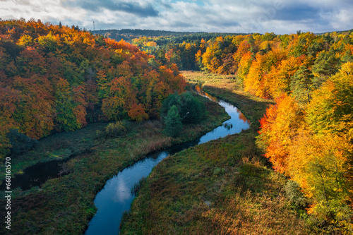 Autumnal landscape of the forest and twisted Radunia river in Kashubia. Poland