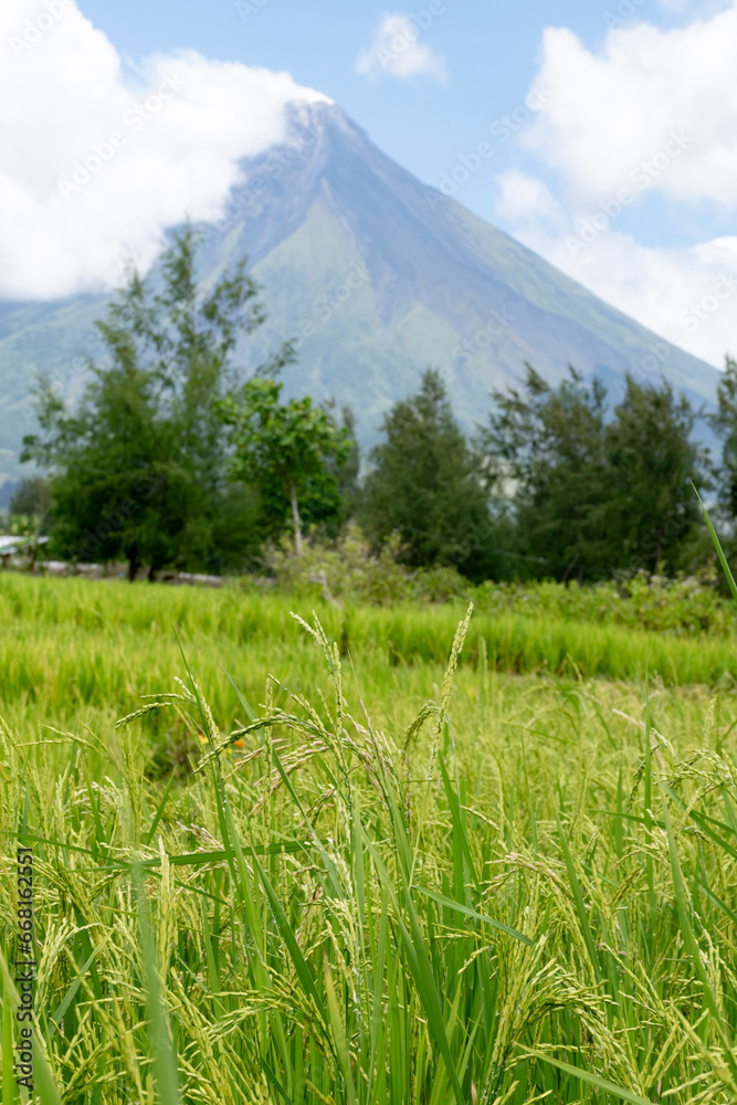Philippines -2023-0601