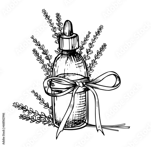 Lavender Essential Oil. Hand drawn linear vector illustration of vintage Bottle for aromatherapy in black and white colors. Drawing of old Flacon with Flowers for cosmetic or alternative medicine.