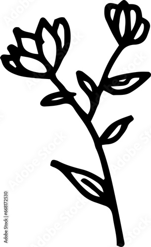 and Drawn Leaves Floral Line Art photo