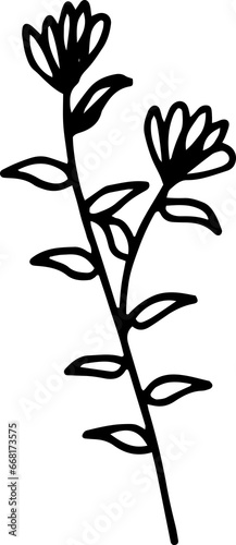 Leaf Botanical Hand Drawn Line Art
 photo