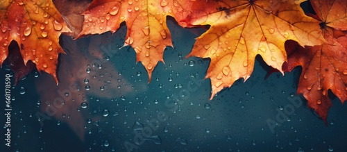 Autumn background with raindrops texture symbolizing fall time © 2rogan