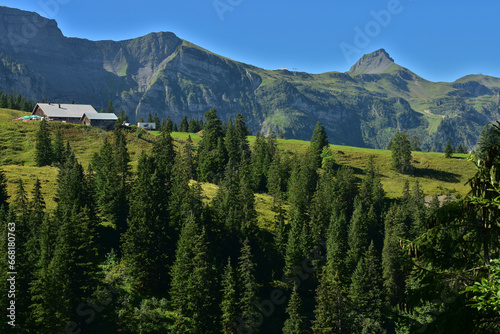 Bregenzerwald; Vorarlberg; Österreich;  Wurzachalpe mit Damülser Mittagsspitze photo