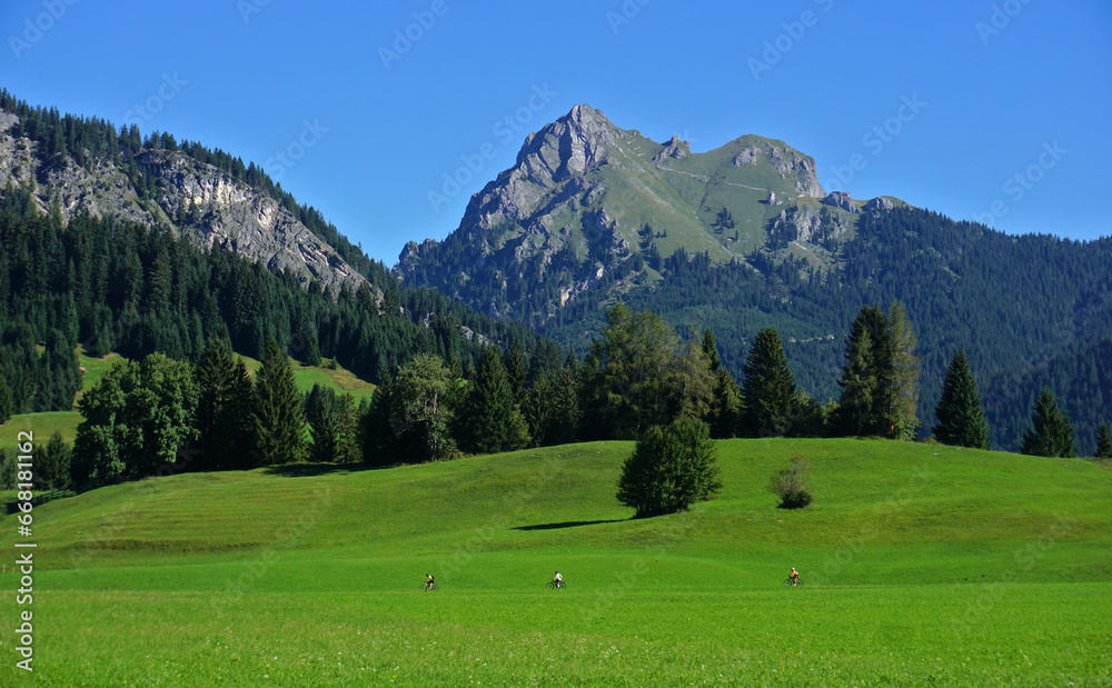 Tannheimer Tal bei Tannheim-Grän; Tirol; Österreich; Blick zum Aggenstein in den Allgäuer Alpen