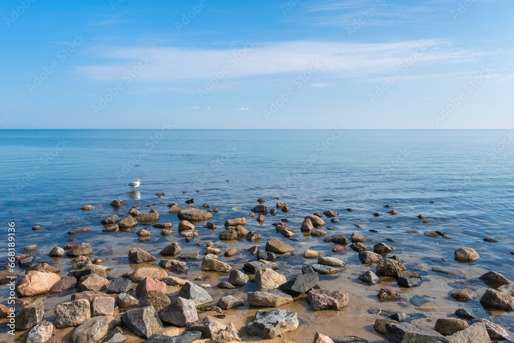 Möve sitzt auf Stein an der Nordküste der Insel Sylt, Deutschland
