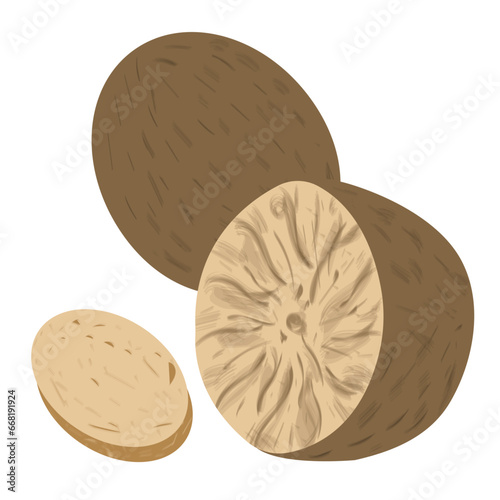 Illustration: nutmeg, whole, half and slice, created in digital graphics. Suitable for creating patterns, decorating business cards, shops, booklets, for printing and websites.